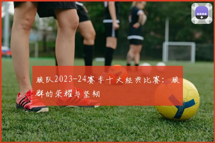 狼队2023-24赛季十大经典比赛：狼群的荣耀与坚韧