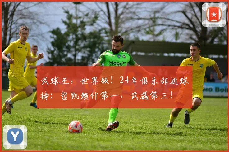 武球王，世界级！24年俱乐部进球榜：哲凯赖什第一，武磊第三！